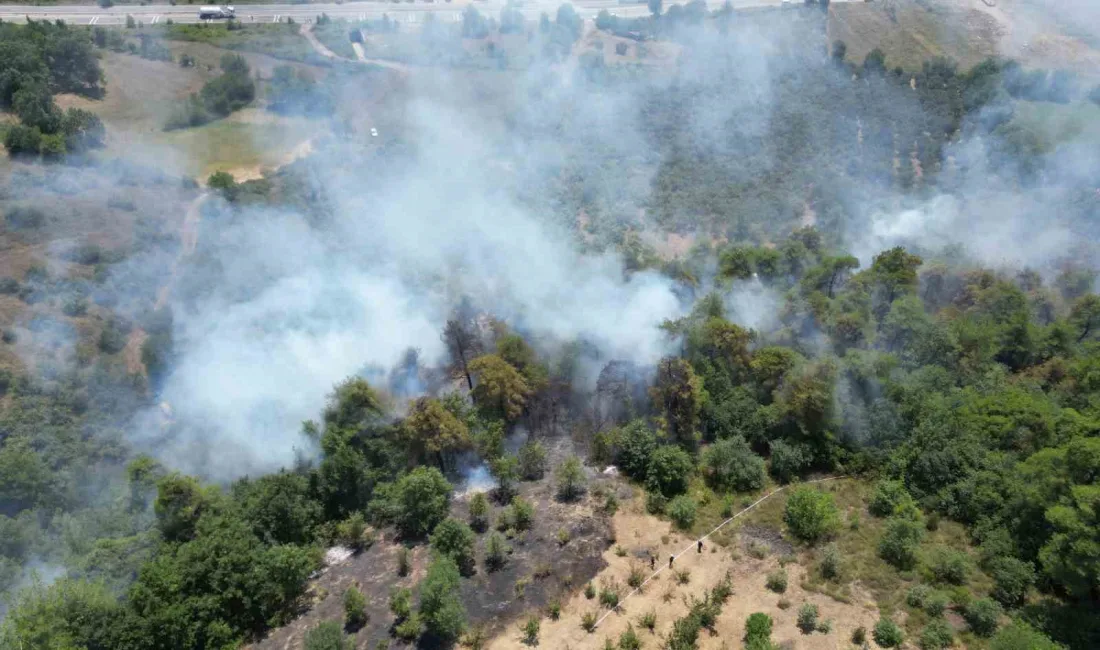 SAKARYA’NIN AKYAZI İLÇESİNDE 10