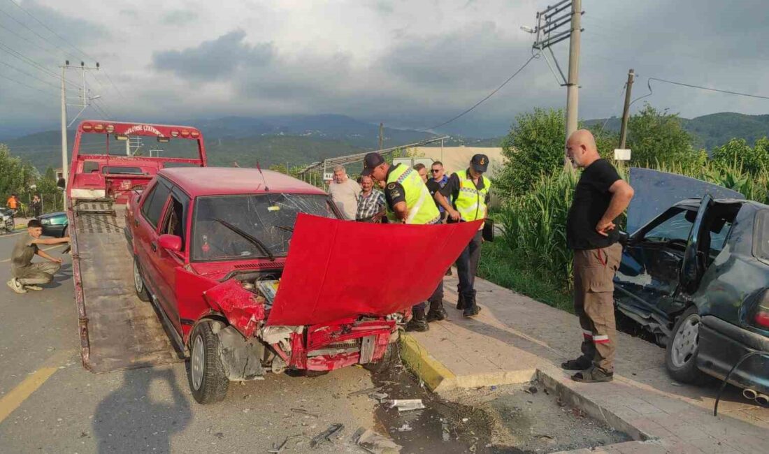 SAKARYA’NIN AKYAZI İLÇESİNDE İKİ