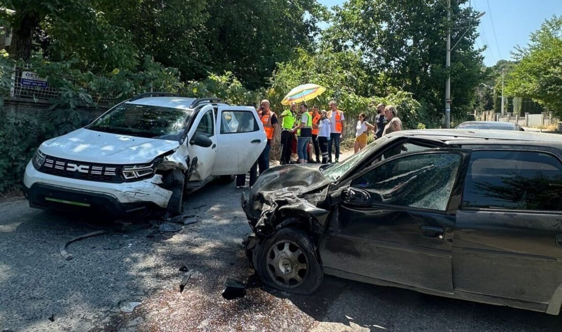 SAKARYA’NIN SAPANCA İLÇESİNDE İKİ