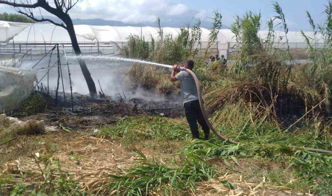 HATAY’DA TARIMSAL SERALARIN BULUNDUĞU