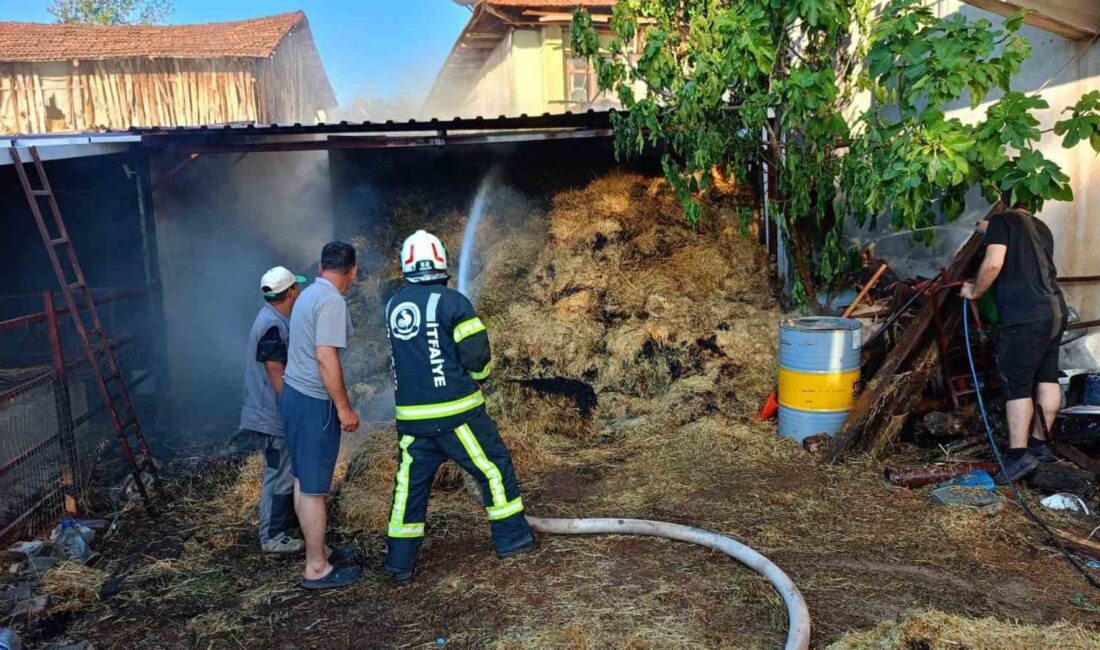 DENİZLİ’NİN BEYAĞAÇ İLÇESİNDE HENÜZ