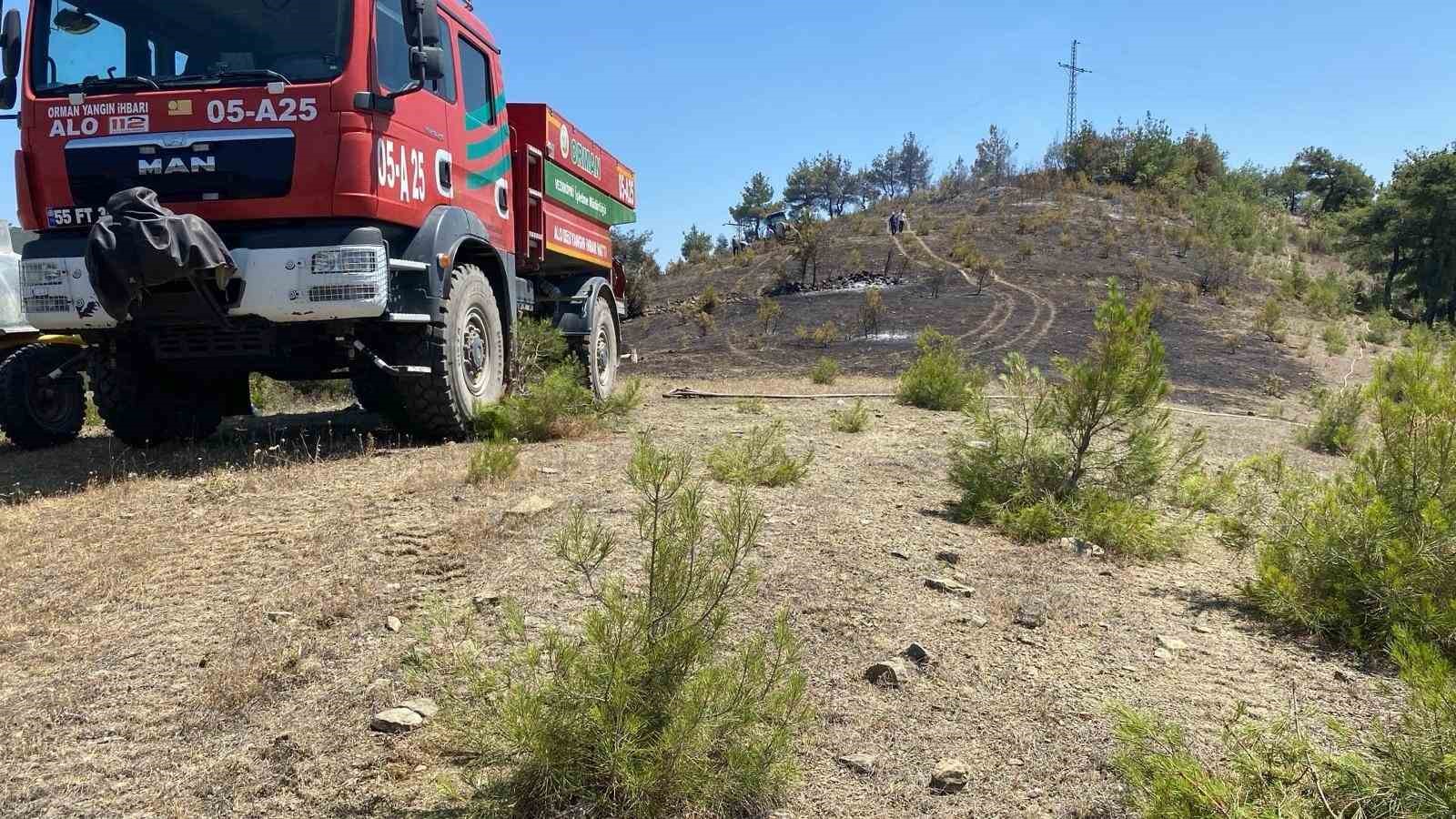 Samsun’da örtü yangını