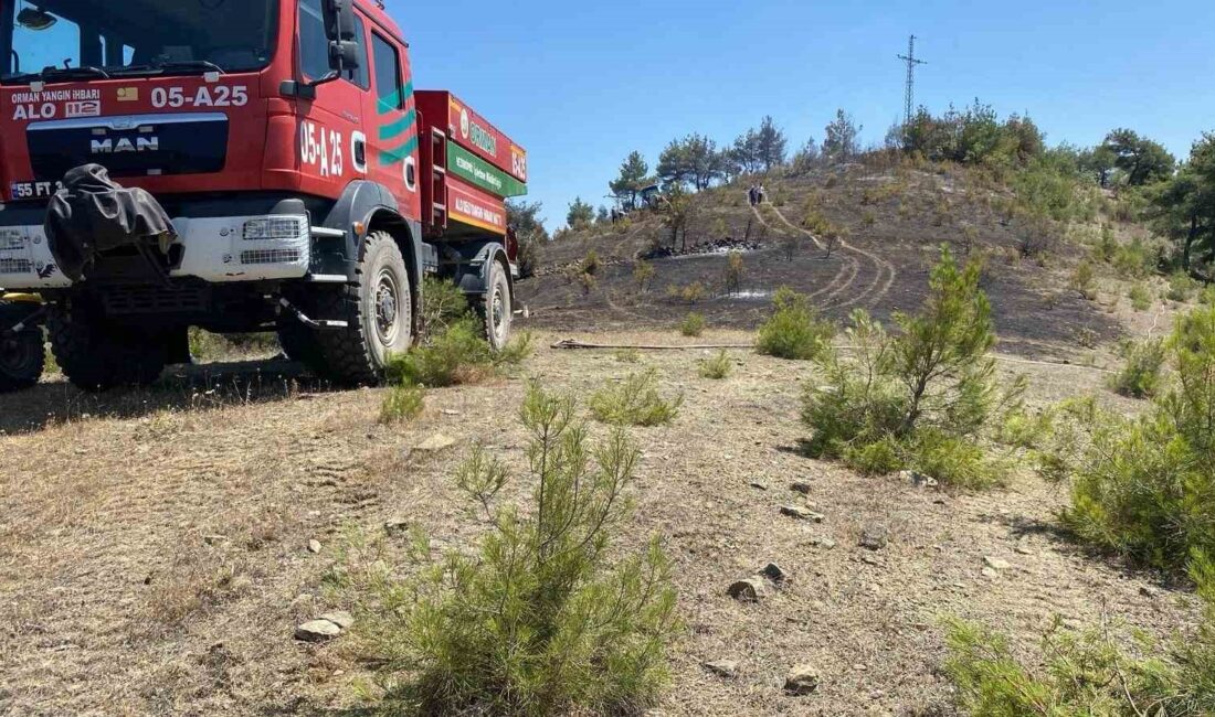 SAMSUN’UN ALAÇAM İLÇESİ KIRSAL