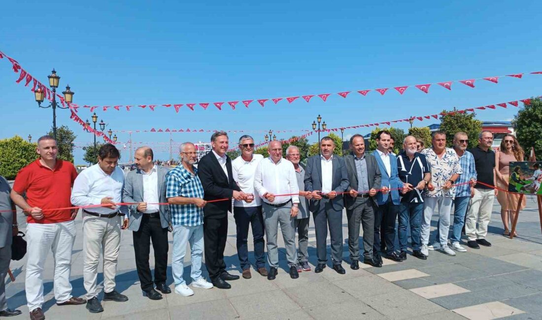 TÜRKİYE SPOR YAZARLARI DERNEĞİ