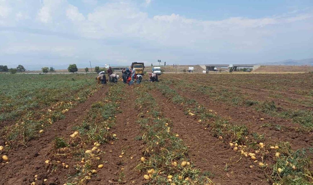 AFYONKARAHİSAR’IN SANDIKLI İLÇESİNDE İLÇEDE