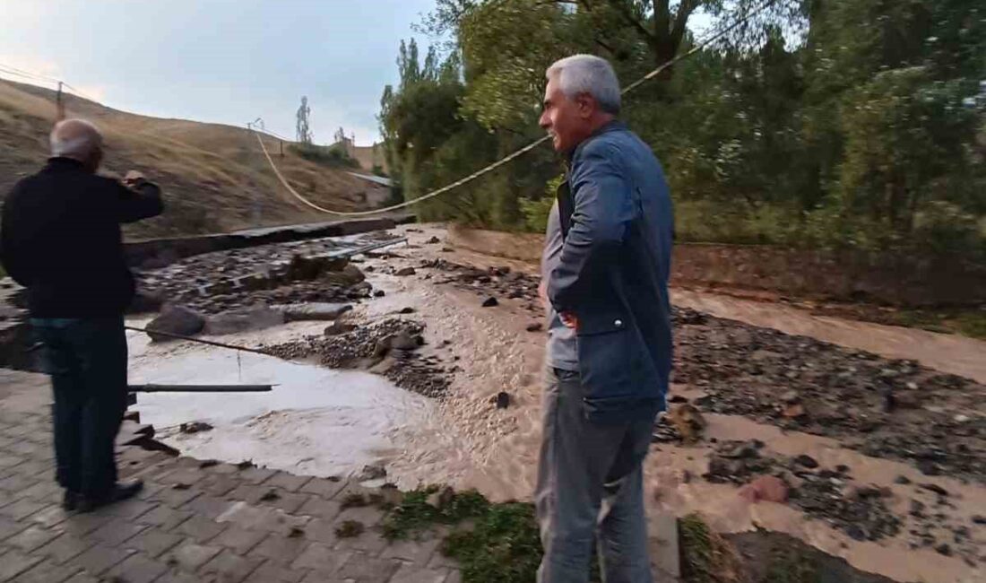 SARIKAMIŞ’I SEL VURDU, YOLLAR