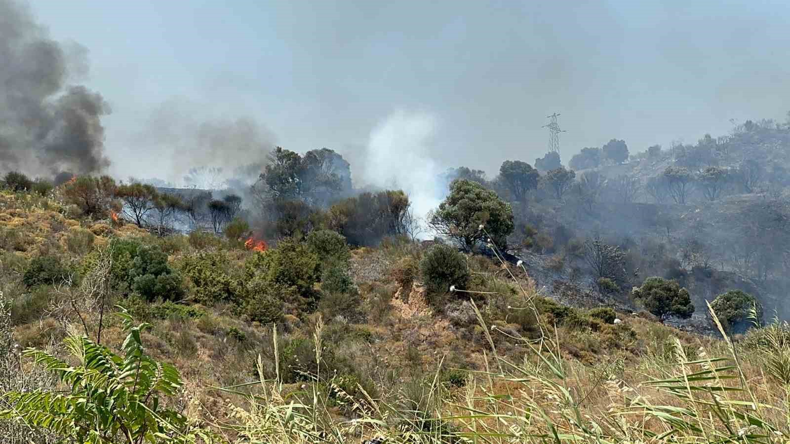 Şarköy’deki yangın kontrol altına alındı