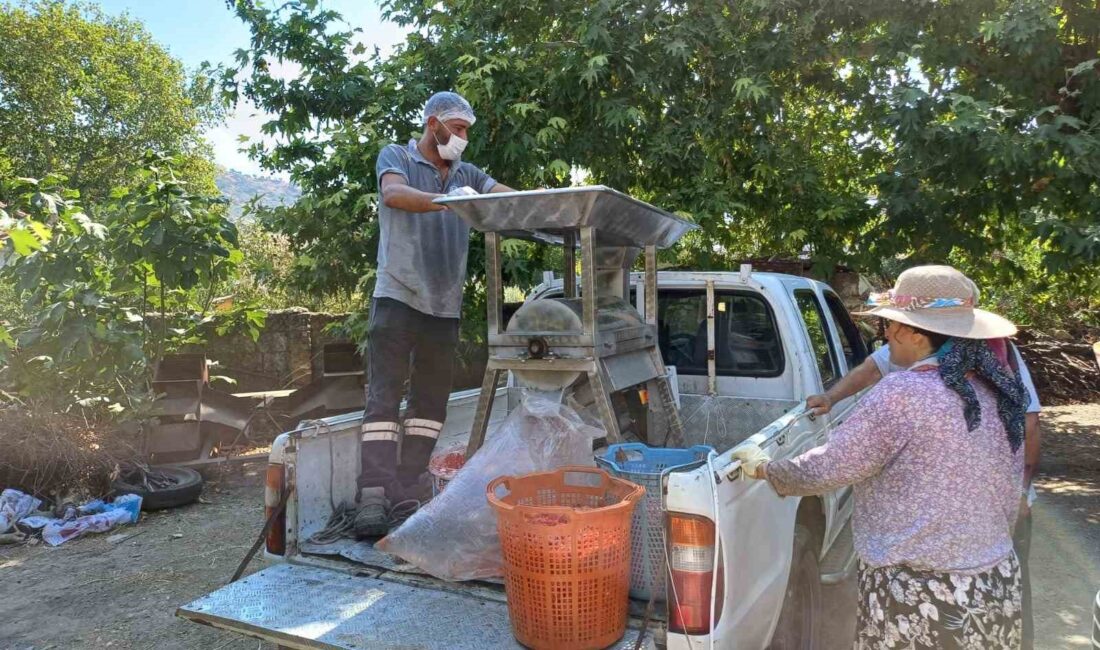 SELÇUK BELEDİYESİ, KENTTE YAŞAYAN