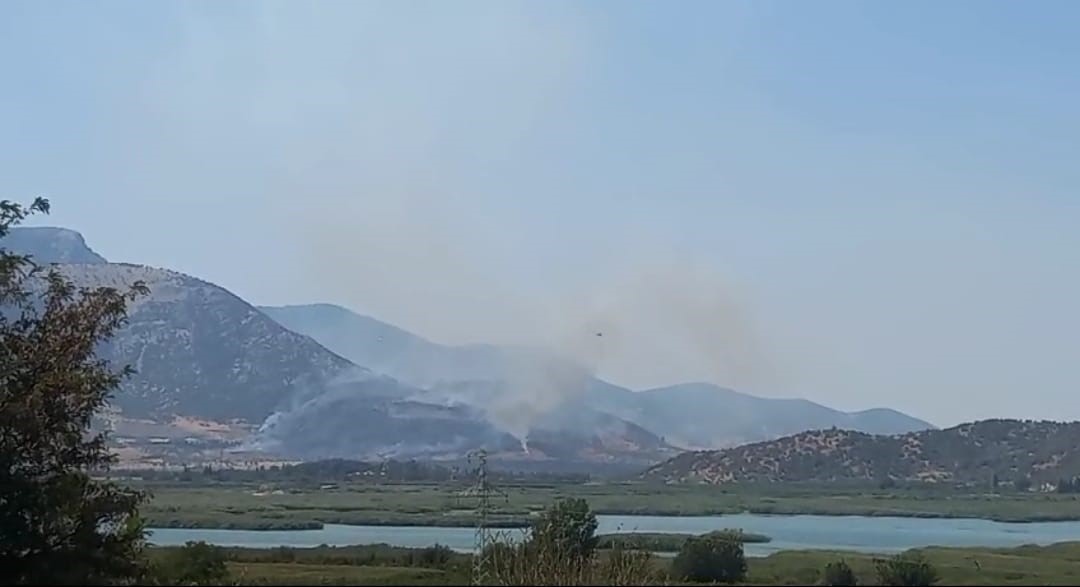 Selçuk’taki orman yangınına havadan ve karadan müdahale