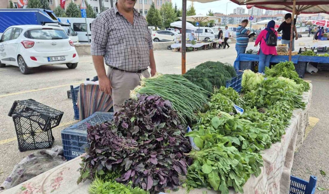 SİNCAN’DA, HAFTANIN 4 GÜNÜ FARKLI MAHALLELERDE HİZMET VEREN ‘ÜRETİCİ KÖYLÜ’