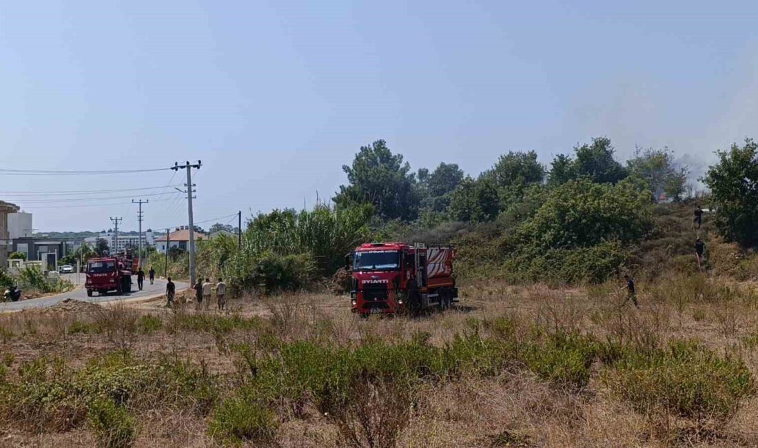 ANTALYA’NIN MANAVGAT İLÇESİNDE TEPELİK