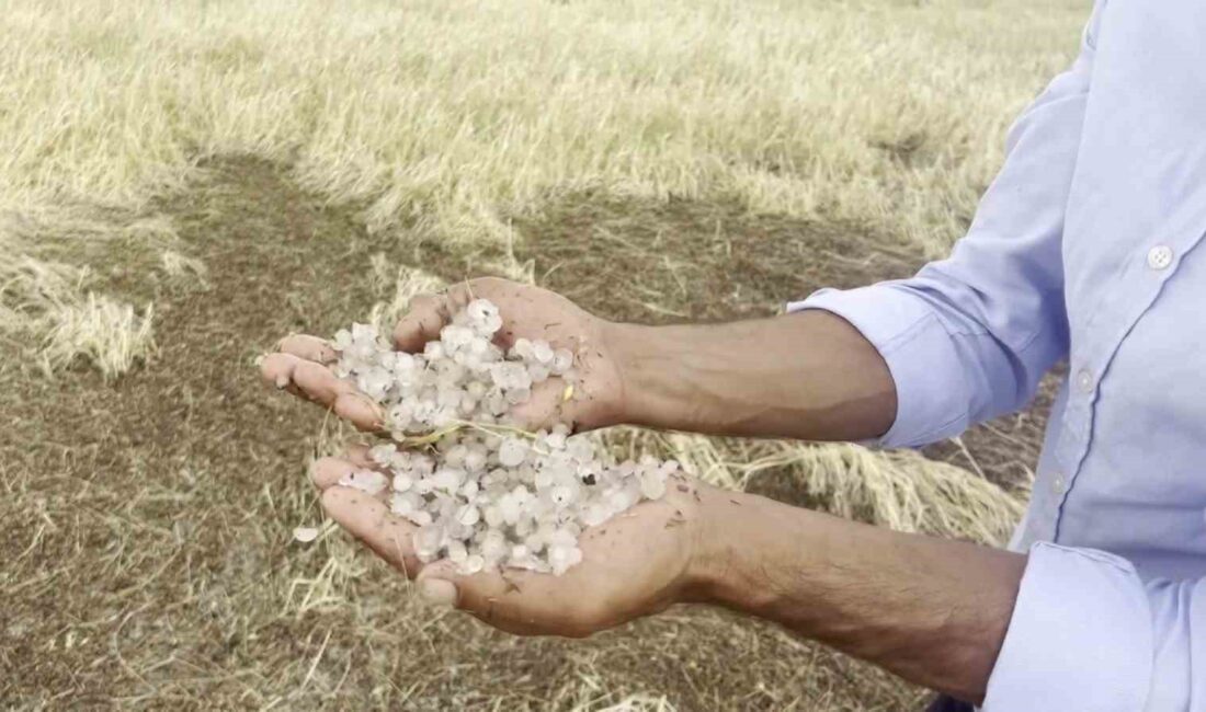 SİVAS’IN ALTINYAYLA İLÇESİNDE ETKİLİ