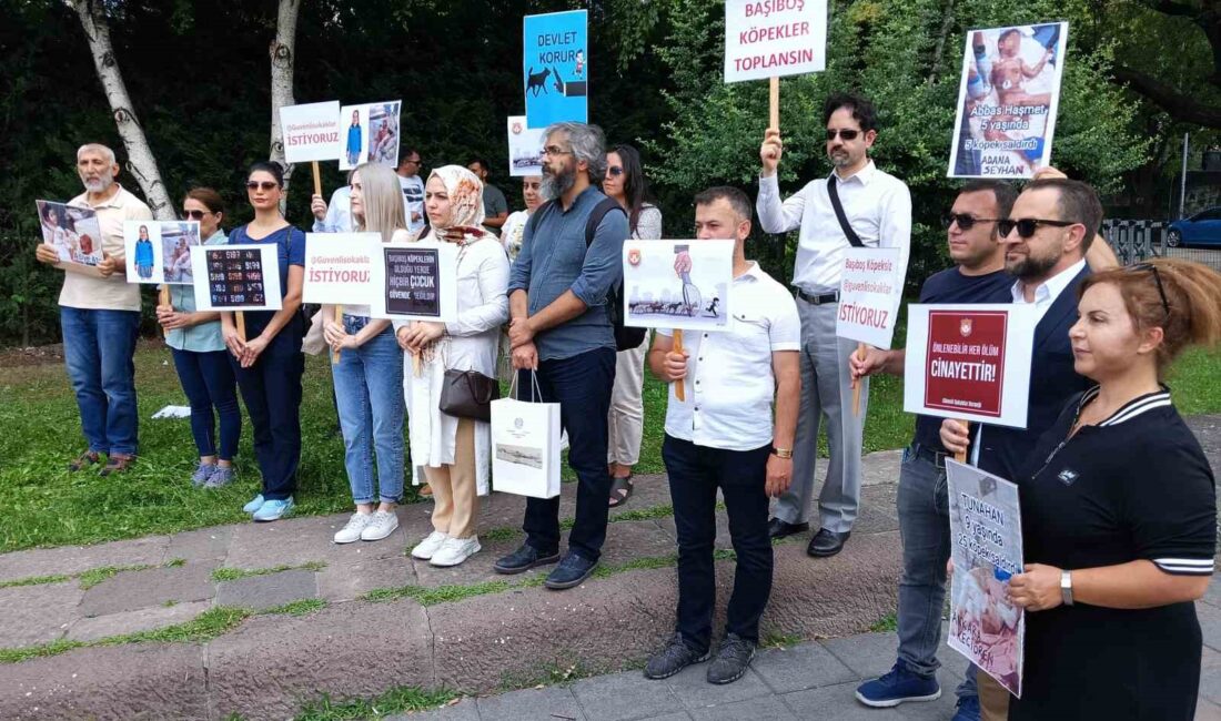 TBMM ÖNÜNDE BİR ARAYA GELEN GÜVENLİ SOKAKLAR VE YAŞAM HAKLARI