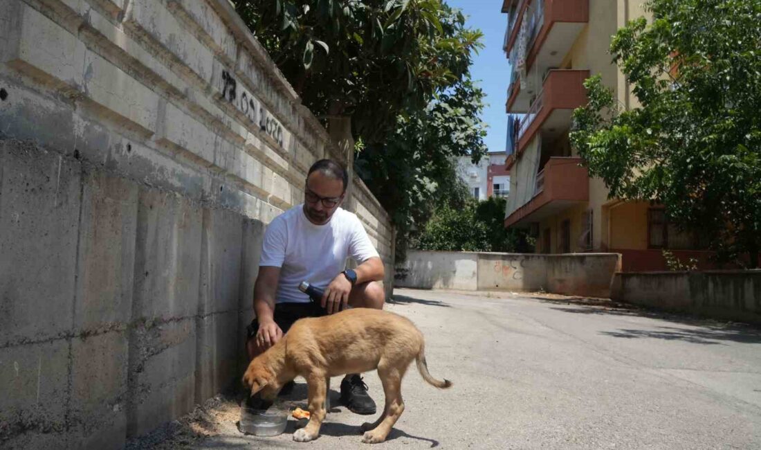 ANTALYA’DA BİR VATANDAŞIN SOKAKTA