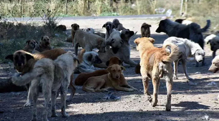 Bakan Yumaklı:  uymayan belediyelere 2 yıla kadar hapis var