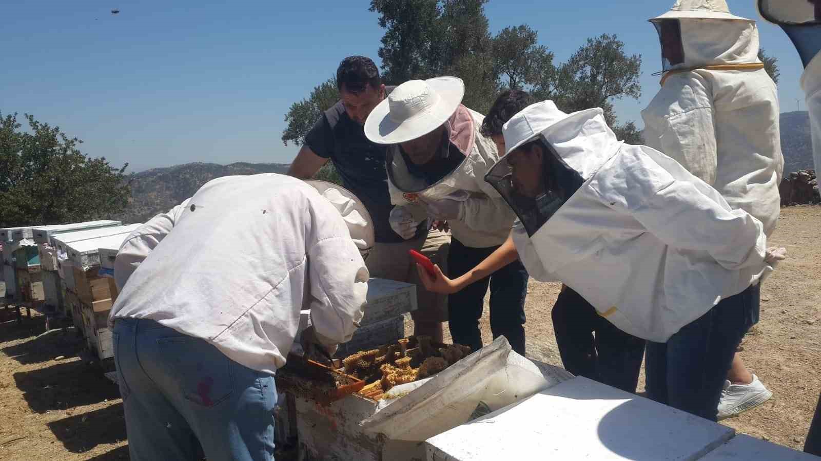 Söke’de Arıcılık Kursu uygulama eğitimleri sürüyor