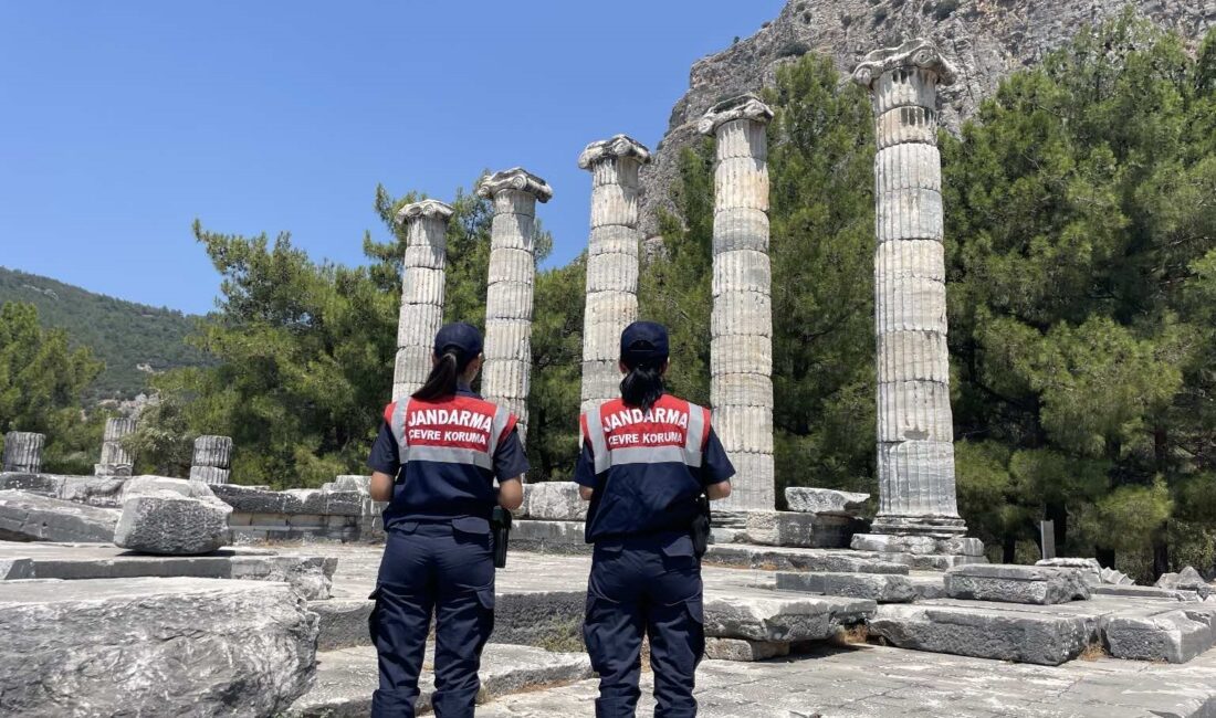 AYDIN'IN SÖKE İLÇESİNDE JANDARMA