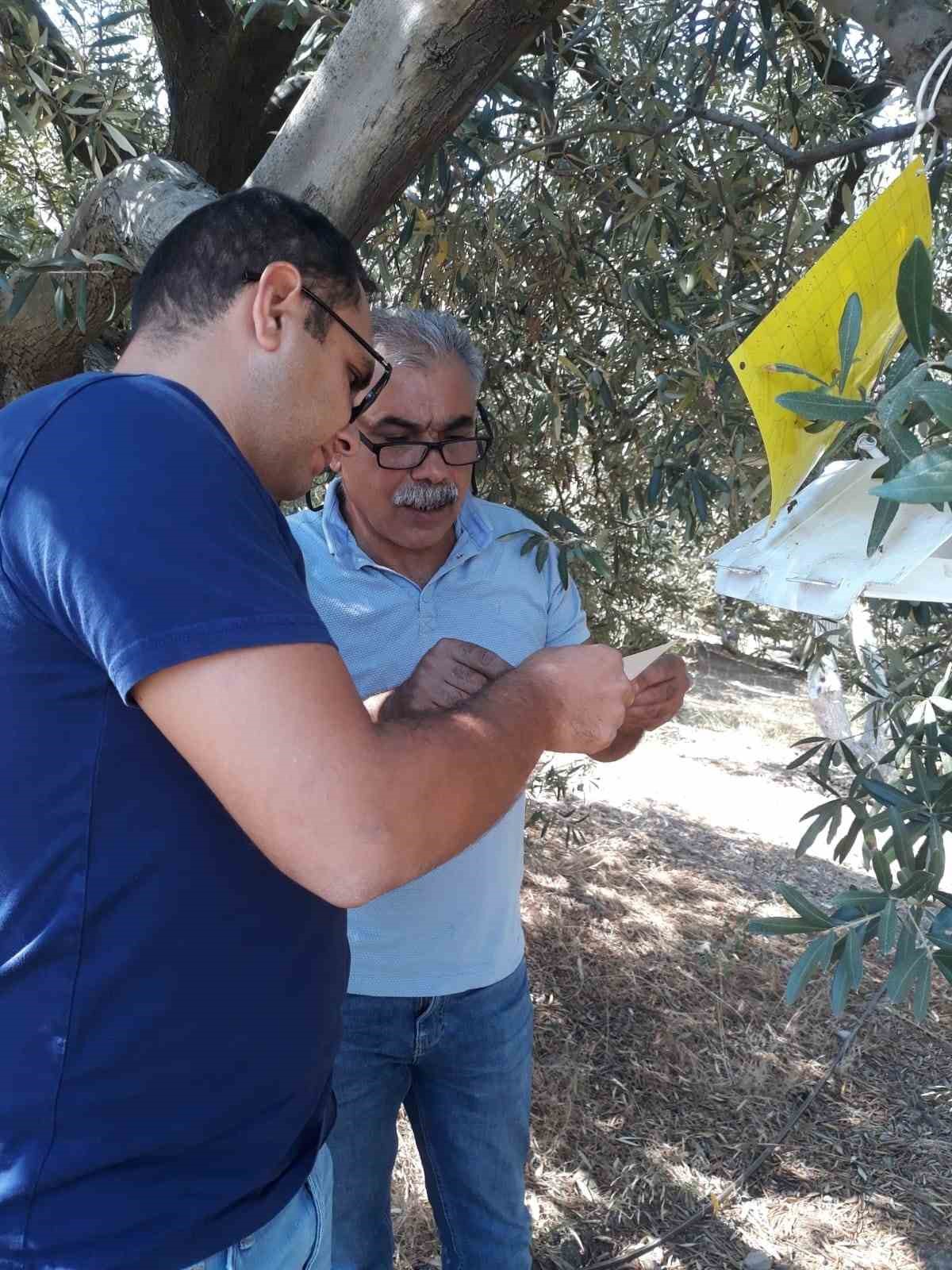 Söke’de zararlı sinek tuzakları kontrol edildi