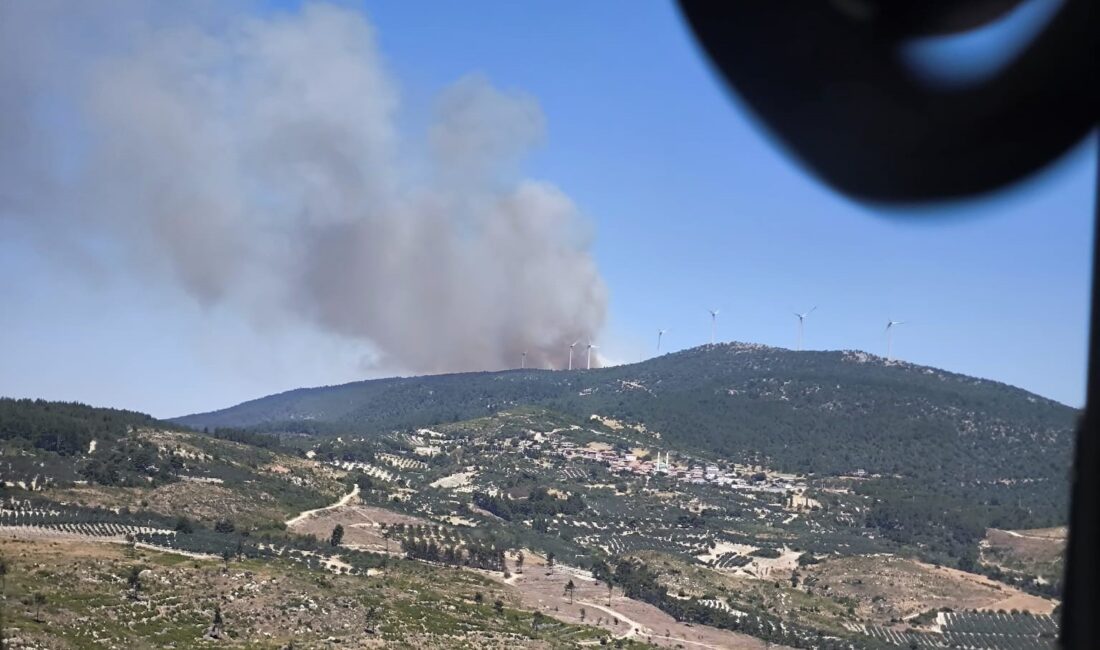 MANİSA'NIN SOMA İLÇESİNDE ORMANLIK