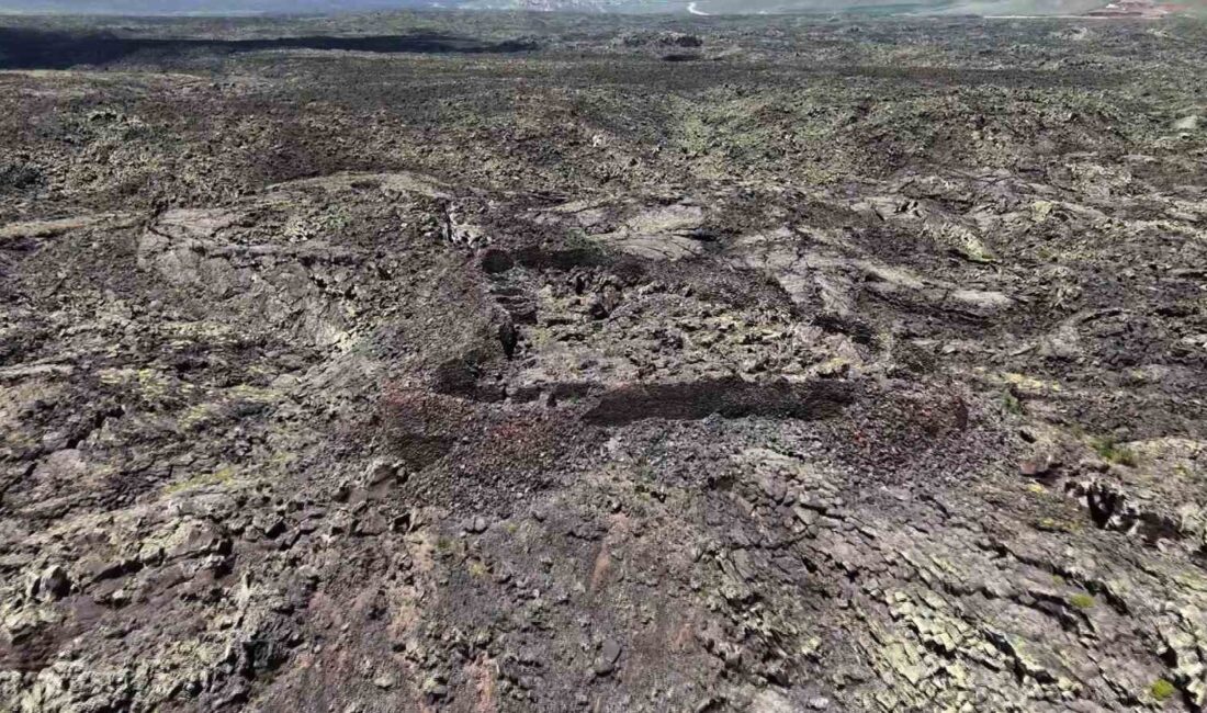 VAN’IN ÇALDIRAN İLÇESİNDE TENDÜREK