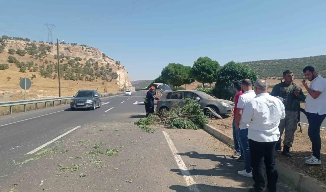 MARDİN’İN ARTUKLU İLÇESİNDE MEYDANA