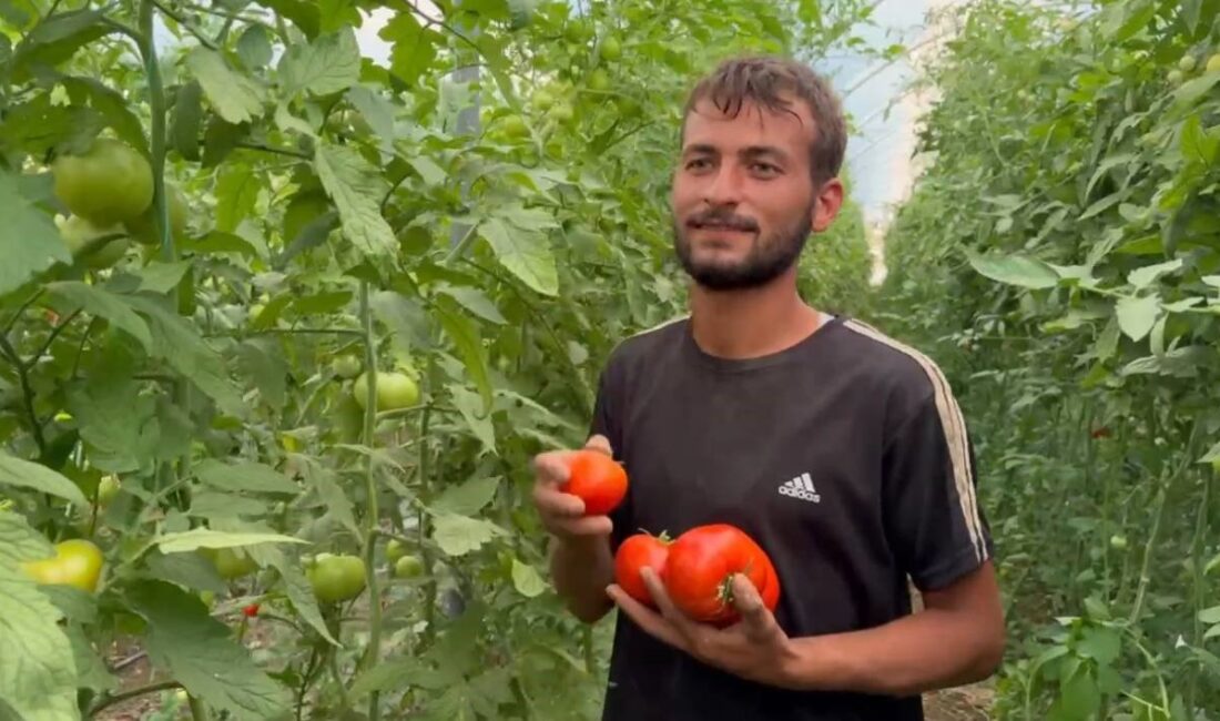 ŞANLIURFA'DAN ANTALYA'YA TARIM İŞÇİSİ