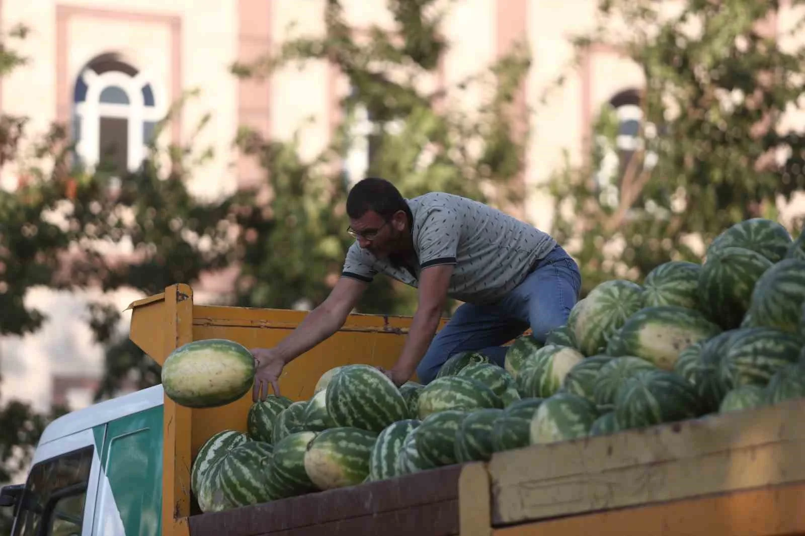 Başkan Bozbey, Tarlada kalan karpuzu, Bursalılara ücretsiz dağıttırdı