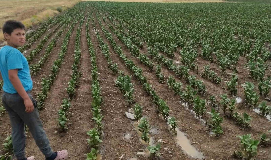 METEOROLOJİ GENEL MÜDÜRLÜĞÜNÜN YAĞIŞ