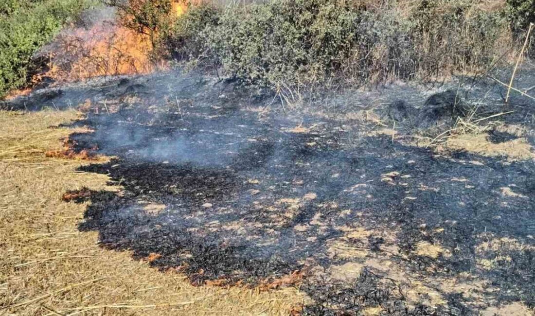 TEKİRDAĞ'IN MURATLI İLÇESİNDE YAŞANAN