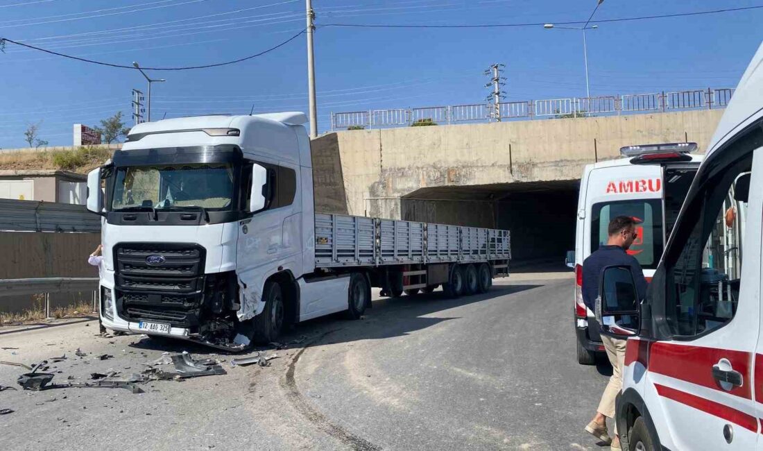 VAN’IN TUŞBA İLÇESİNDE TIRLA