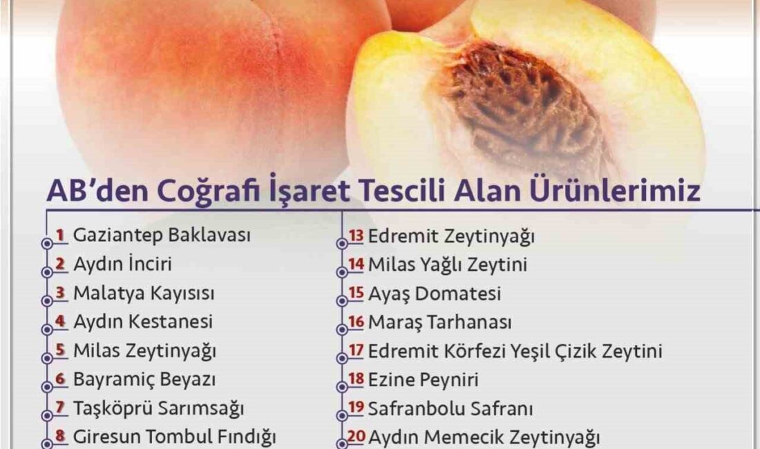 TÜRKİYE ODALAR VE BORSALAR BİRLİĞİ (TOBB) BAŞKANI MUSTAFA RİFAT HİSARCIKLIOĞLU,