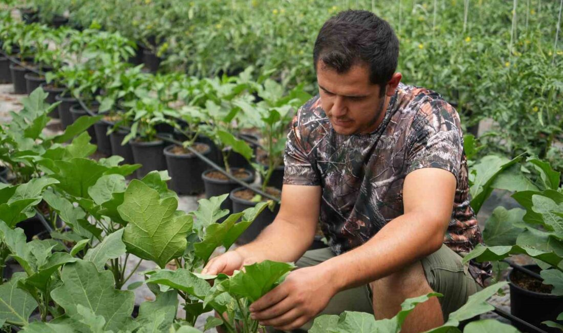 BURSA'DA DAĞLIK BÖLGEDE KURDUKLARI