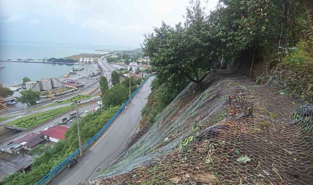 TRABZON'UN ORTAHİSAR İLÇESİNDE DEĞİRMENDERE