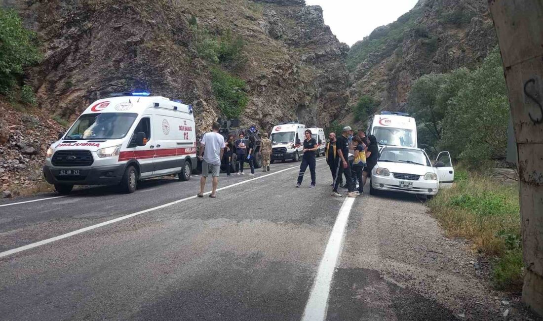 TUNCELİ-PÜLÜMÜR-ERZİNCAN KARAYOLU ÇIĞ TÜNELİNDE