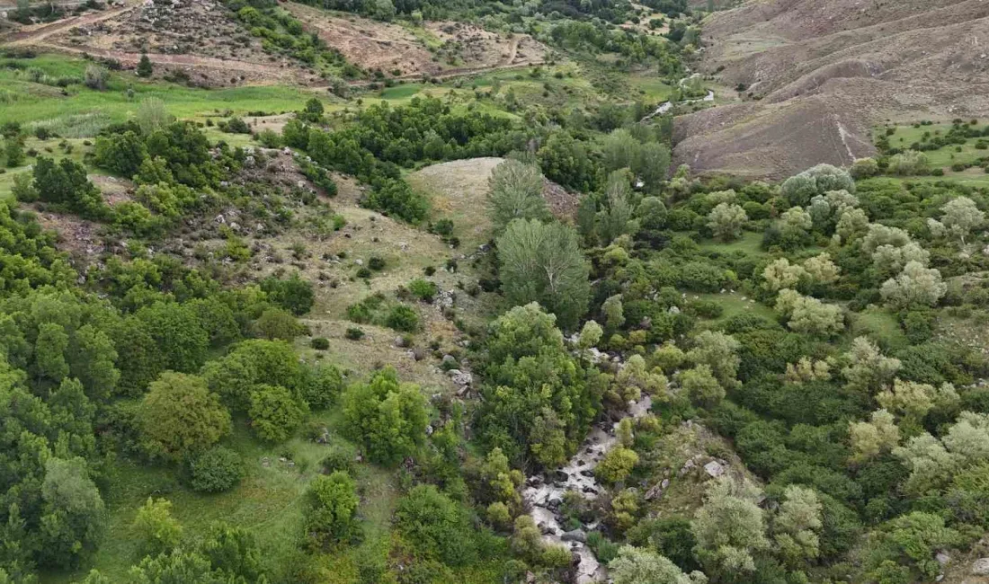 IĞDIR’IN TUZLUCA İLÇESİNDEKİ YÜKSEK