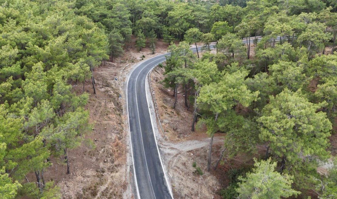 MUĞLA ORMAN BÖLGE MÜDÜRLÜĞÜ,