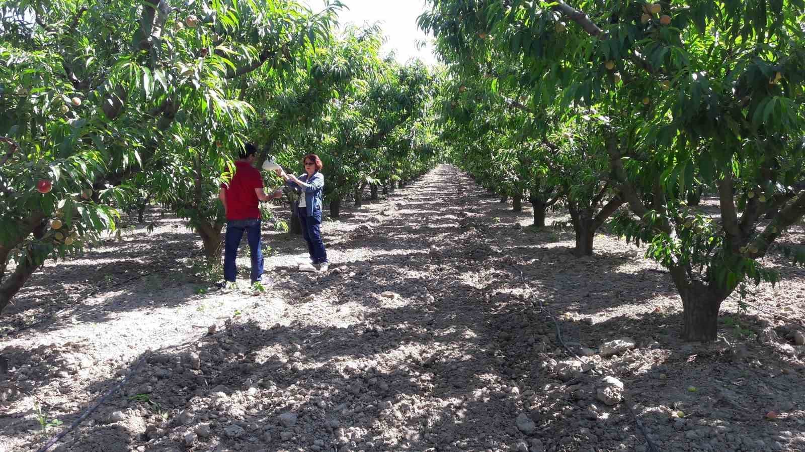 Üreticiler uyarıldı: “Siyah torbalarda imha edin”