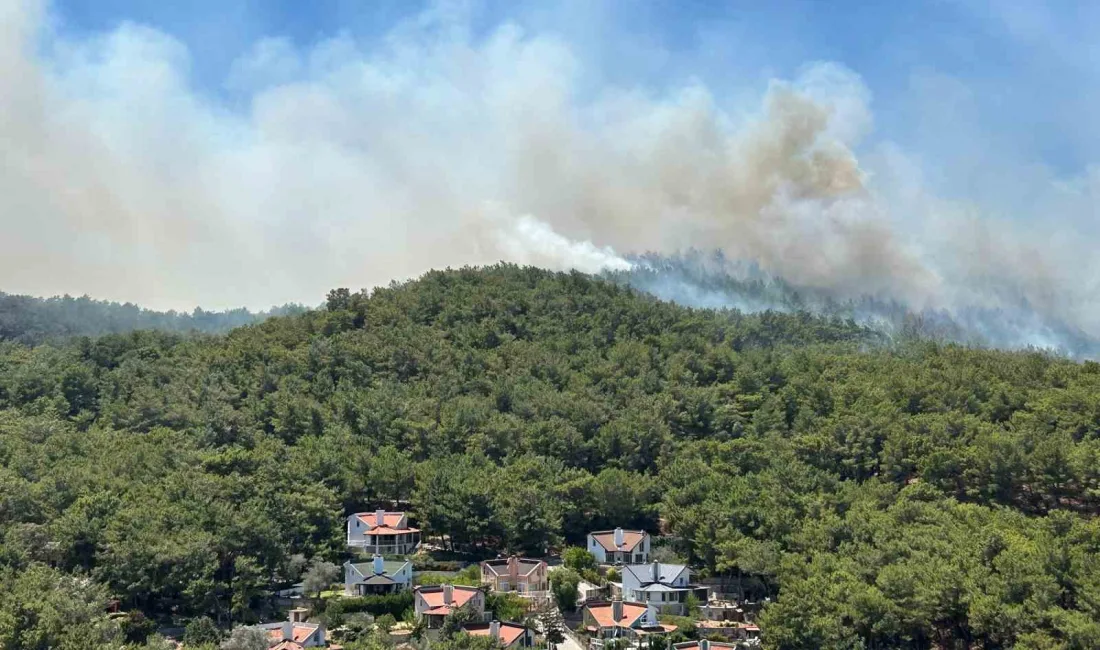 İZMİR’İN URLA İLÇESİNDE ÇIKAN