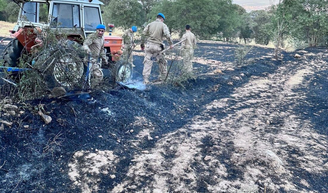 UŞAK MERKEZDE VE BANAZ İLÇESİNDE ÇIKAN İKİ AYRI ORMAN YANGINI