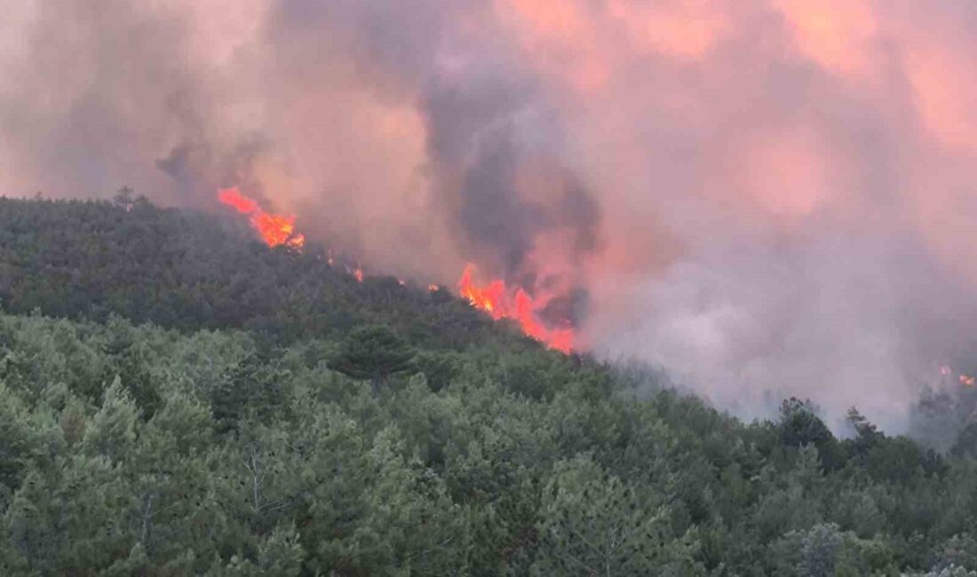 UŞAK’TA ORMANLIK ALANDA BAŞLAYAN YANGINA MÜDAHALE KARADAN VE HAVADAN DEVAM