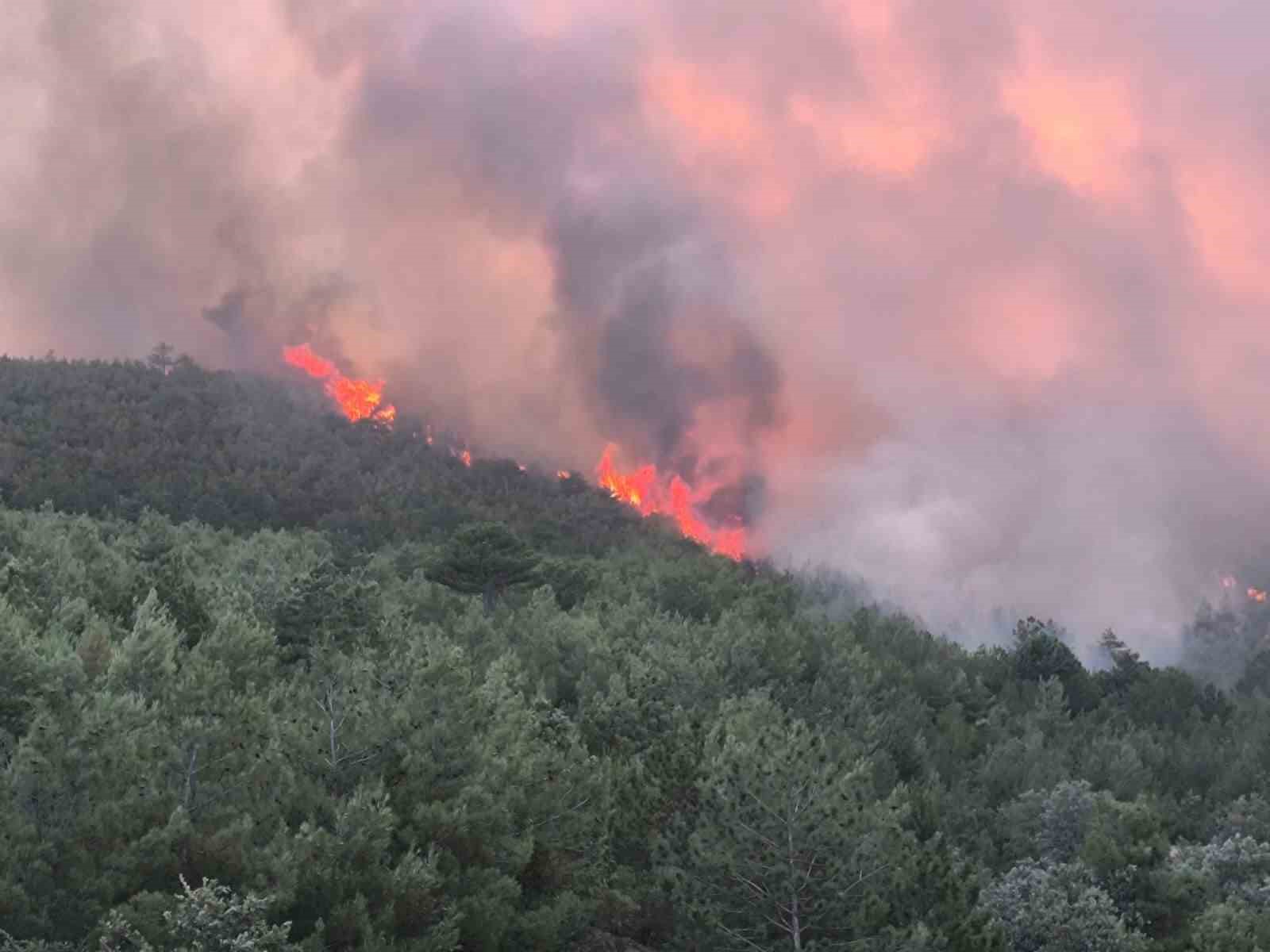 UŞAK’TA ORMANLIK ALANDA BAŞLAYAN YANGINA MÜDAHALE KARADAN VE HAVADAN DEVAM