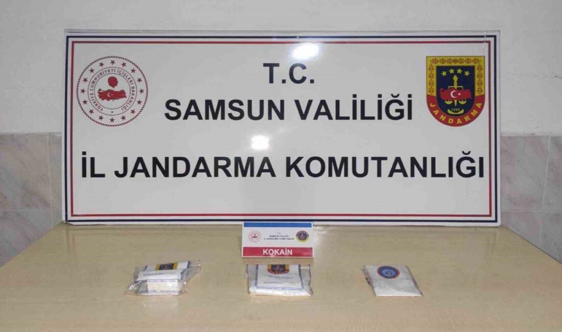 SAMSUN'UN BAFRA İLÇESİNDE 320