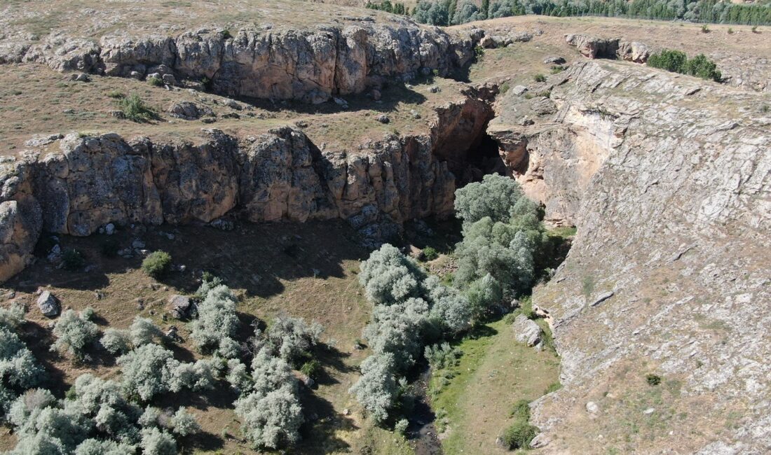 SİVAS’IN YILDIZELİ İLÇESİNDE BULUNAN