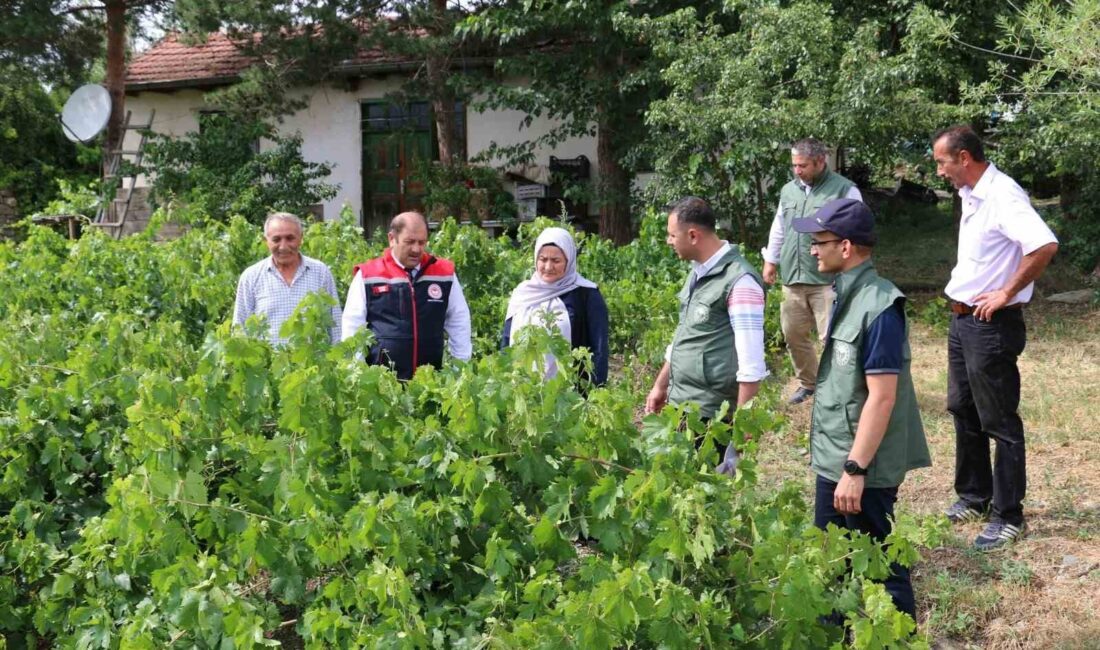 HAFTA SONU YAŞANAN DOLU