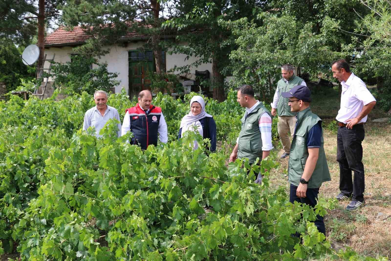 Üzümlü’ de dolu zarar verdi