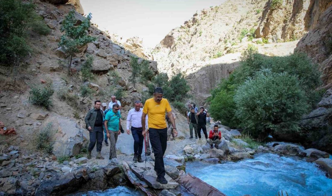 HAKKARİ VALİSİ ALİ ÇELİK,