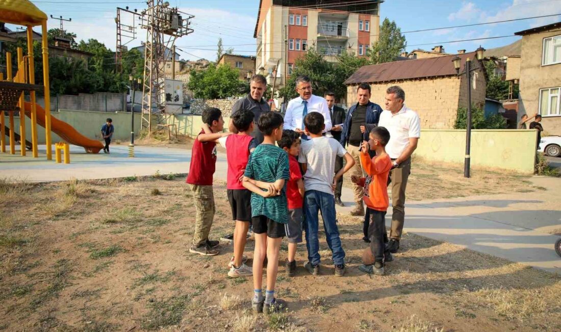 HAKKARİ VALİSİ ALİ ÇELİK,