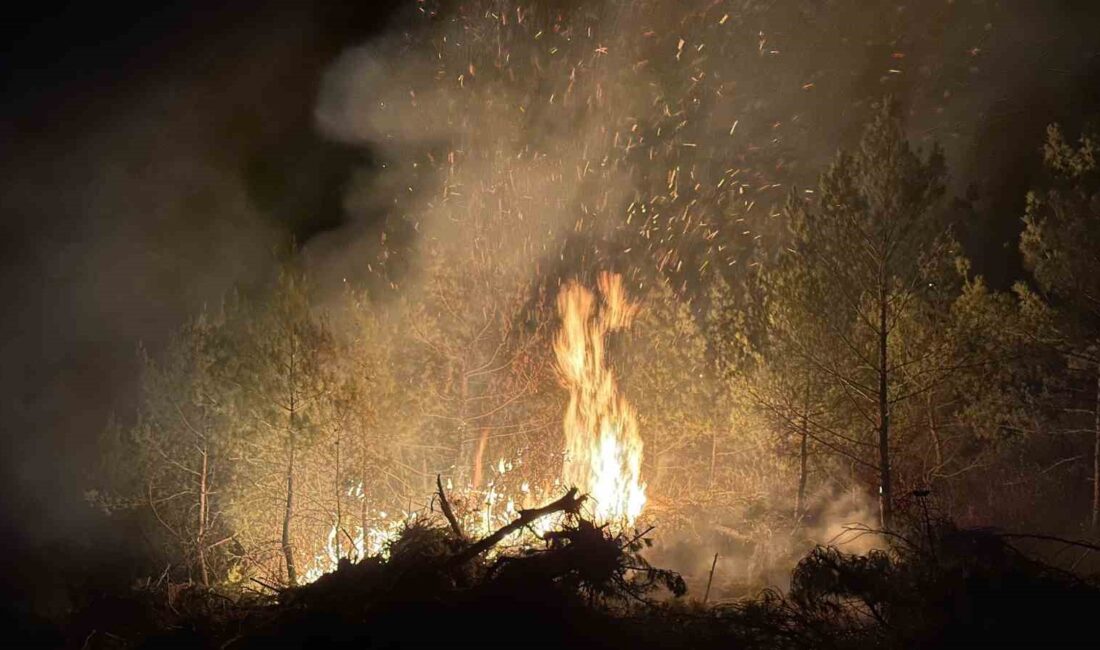 UŞAK’TA ORMANLIK ALANDA BAŞLAYAN