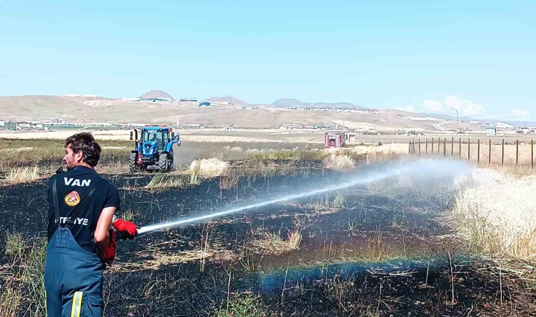 VAN’IN TUŞBA İLÇESİNDE ÇIKAN