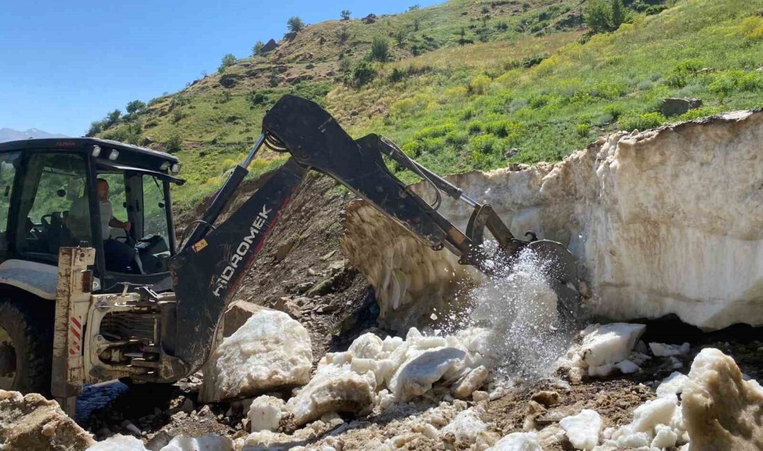 VAN'IN BAHÇESARAY İLÇESİNDE TEMMUZ